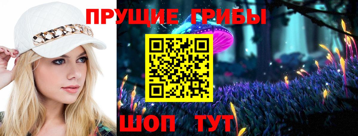 Кинешма  Псилоцибиновые грибы Cubensis  Вход с VPN 